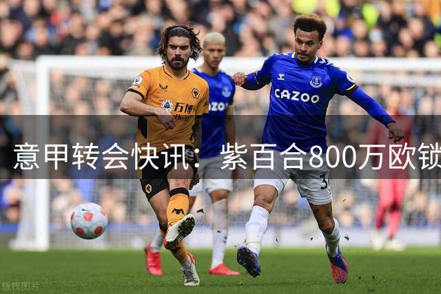 意甲转会快讯：紫百合800万欧锁定尤文中场若昂-马里奥